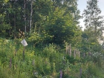 Продам участок: 8 соток в собственности, дачное, подсобное хозяйство