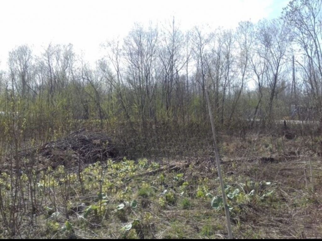 Продам участок: 12 соток в собственности, ИЖС