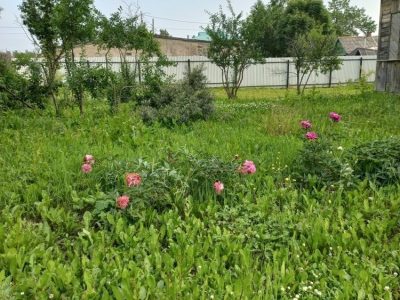 Продам участок: 8 соток в собственности, ИЖС