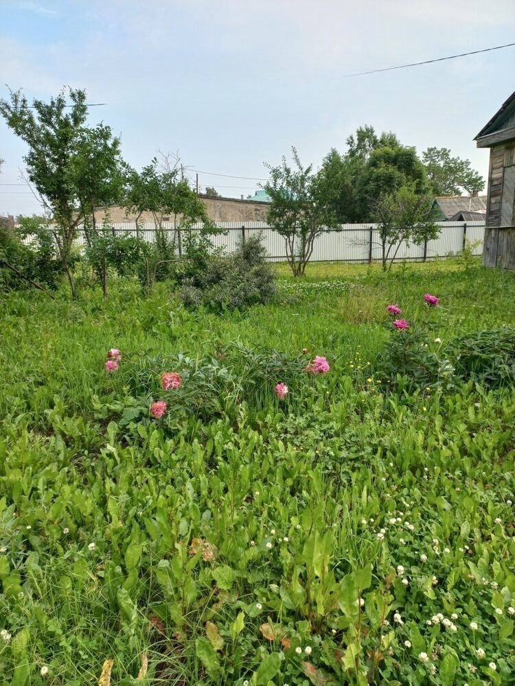 Продам участок: 8 соток в собственности, ИЖС