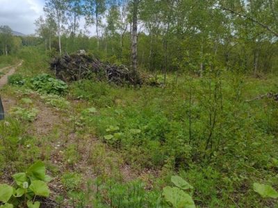 Продам участок: 12 соток в собственности, дачное, подсобное хозяйство