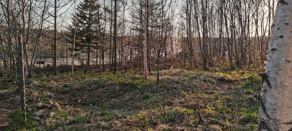 Продам участок: 12,9 сотки в собственности, дачное, подсобное хозяйство