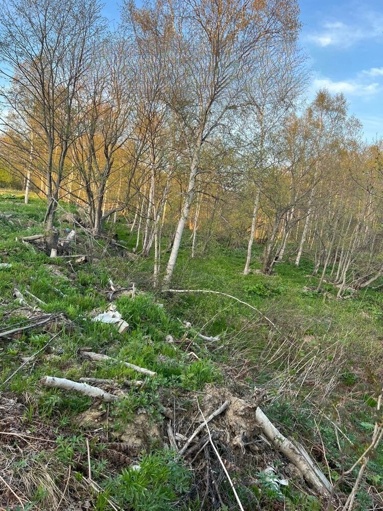 Продам участок: 20 соток в собственности, дачное, подсобное хозяйство