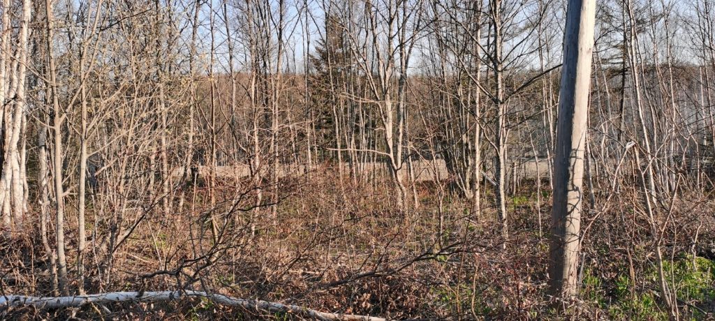 Продам участок: 12,9 сотки в собственности, дачное, подсобное хозяйство