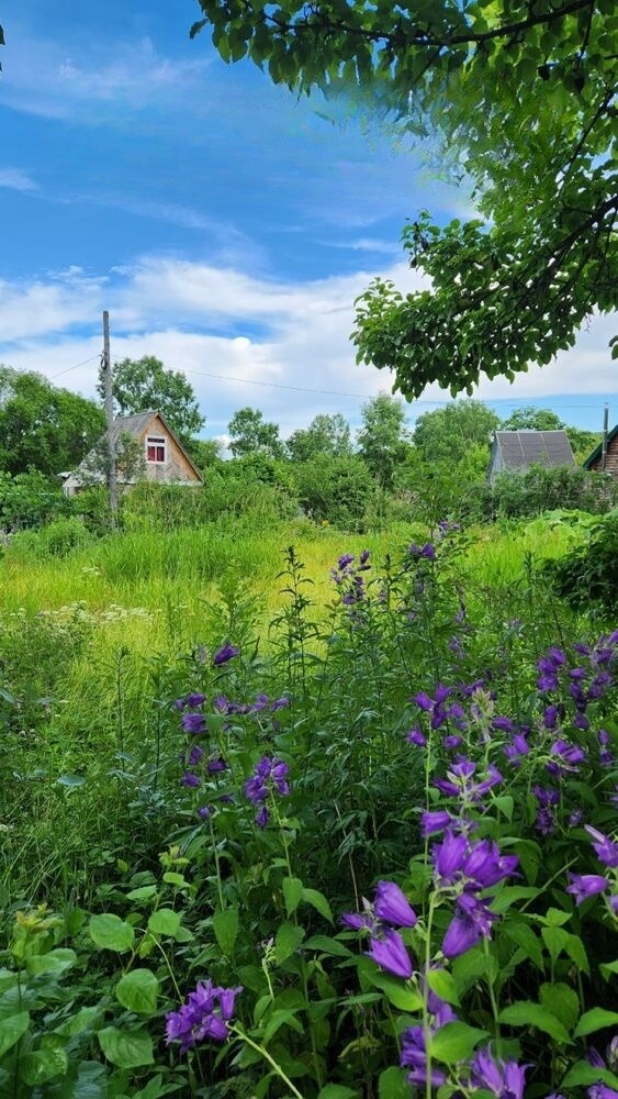 Продам участок: 12 соток в собственности, дачное, подсобное хозяйство