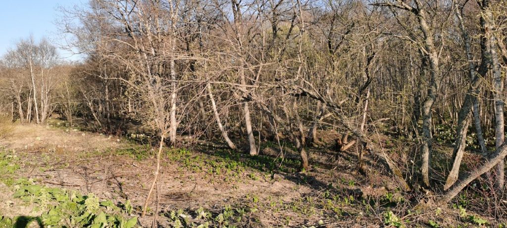Продам участок: 98,98 сотки в собственности, сельское хозяйство